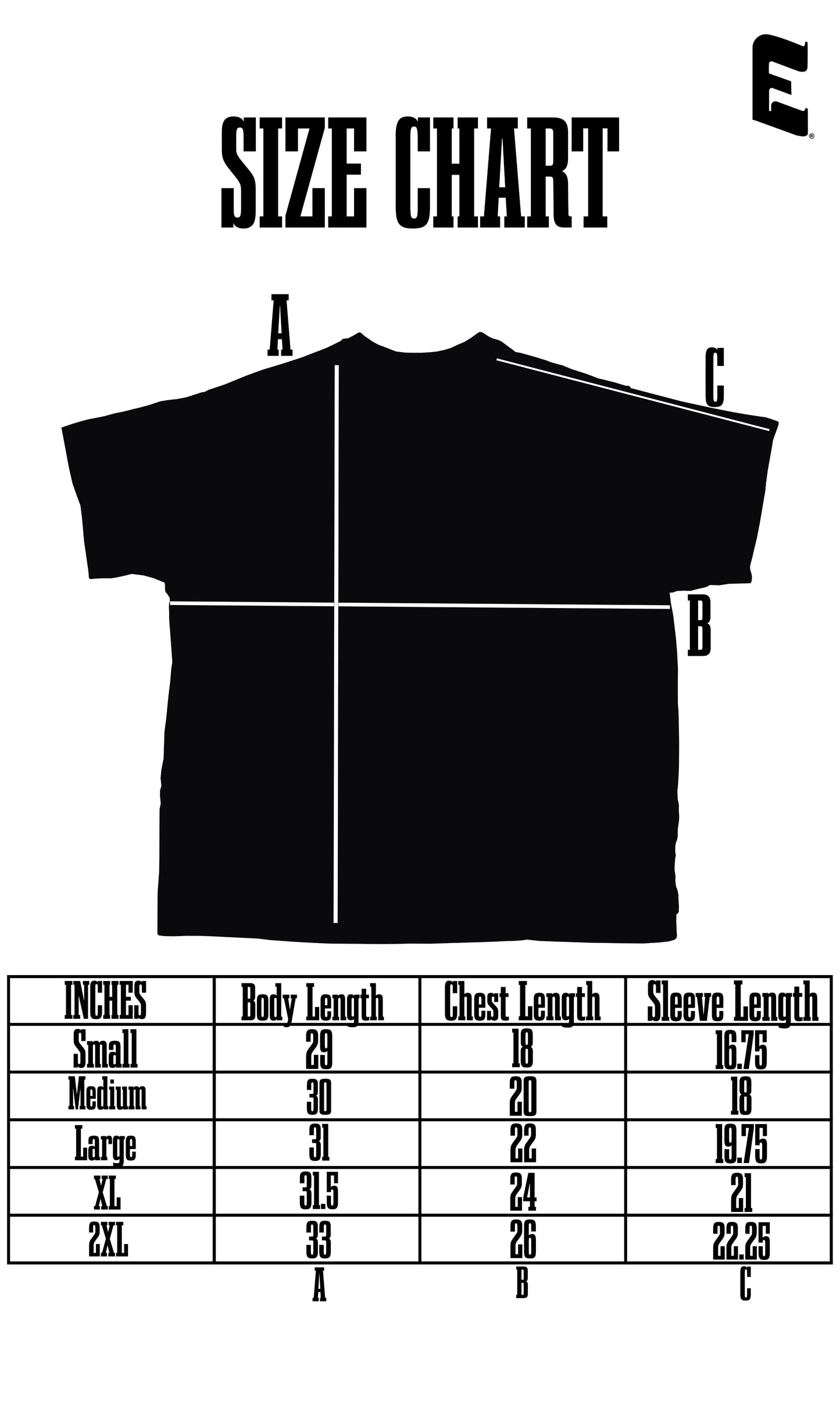 Dchi Fall 2024 Tee